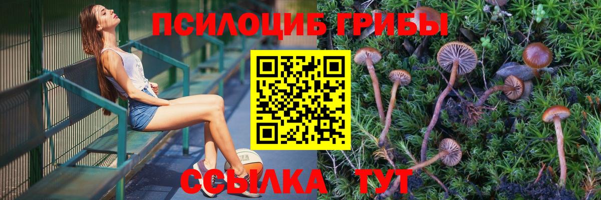 Усть-Джегута  Галлюциногенные грибы MAGIC MUSHROOMS  Вход с VPN 