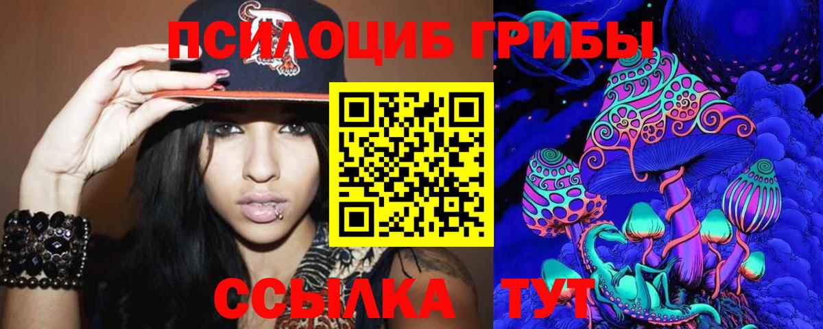 Галлюциногенные грибы Psilocybe Усть-Джегута